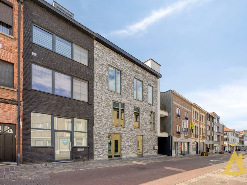 Bent u op zoek naar een ruime, instapklare woning op een toplocatie in het centrum van Diest? Dan zal deze verrassend ruime stadswoning u ongetwijfeld