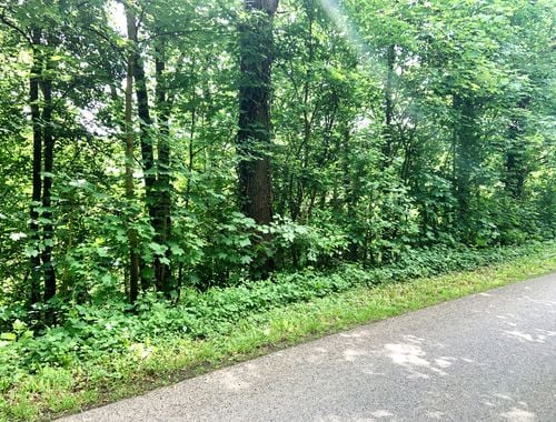                                         Terrain à bâtir à vendre à Bomal-sur-Ourthe, € 47.000
