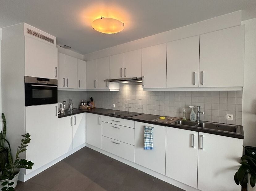 Appartement à louer
                    à 2440 Geel
