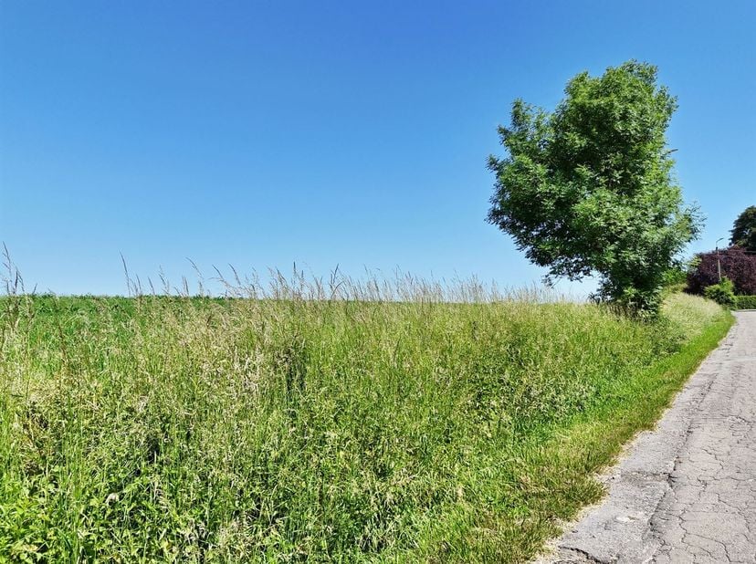 Zeer aantrekkelijk perceel van 1 ha 09 a 00 ca in een landelijke woonwijk, ideaal gelegen in een rustige omgeving van de gemeente Andenne, vlakbij de