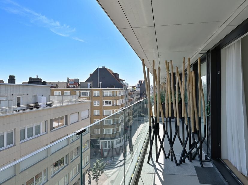 Magnifique appartement meublé de deux chambres, idéalement situé entre la place Van Bunnen et la place du Phare. Composition: hall d’entrée avec vesti