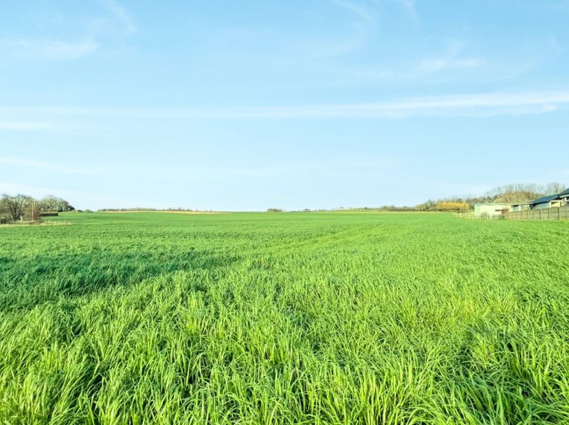 Terrain à vendre
                    à 3740 Bilzen