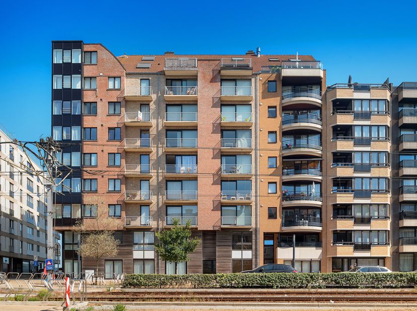 Dit gunstig gelegen appartement bevindt zich aan de Elizabetlaan, op wandelafstand van de zeedijk en het strand van Heist-aan-Zee.&amp;nbsp;<br />
<br />