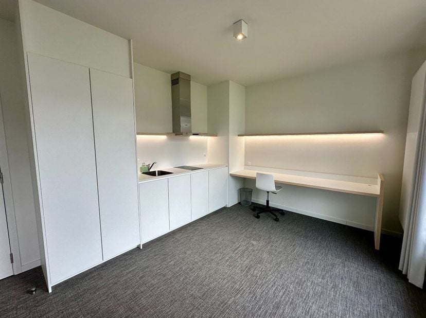 Vous cherchez un endroit à vous au coeur de Louvain ? Ce studio étudiant élégant, situé dans la Riddersstraat, offre tout ce dont vous avez besoin pou
