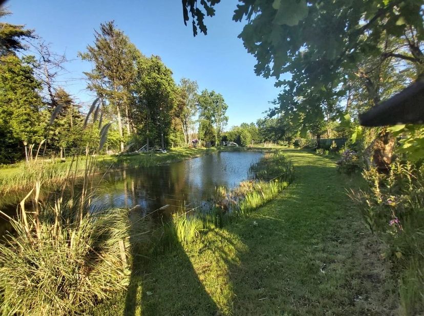 Bent u op zoek naar een rustige plek om te ontspannen in de natuur, met ruimte om een recreatiewoning te bouwen? Deze prachtige recreatiegrond van 215