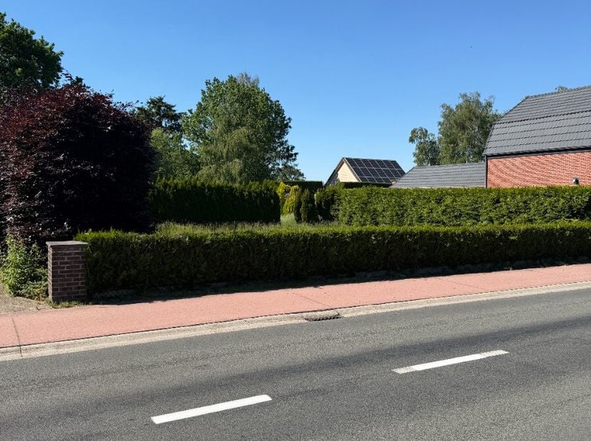 Ruime bouwgrond gelegen op een groene locatie dicht bij diverse invalswegen en een goede verbinding met Pelt, omliggende gemeentes, de Nederlandse gre