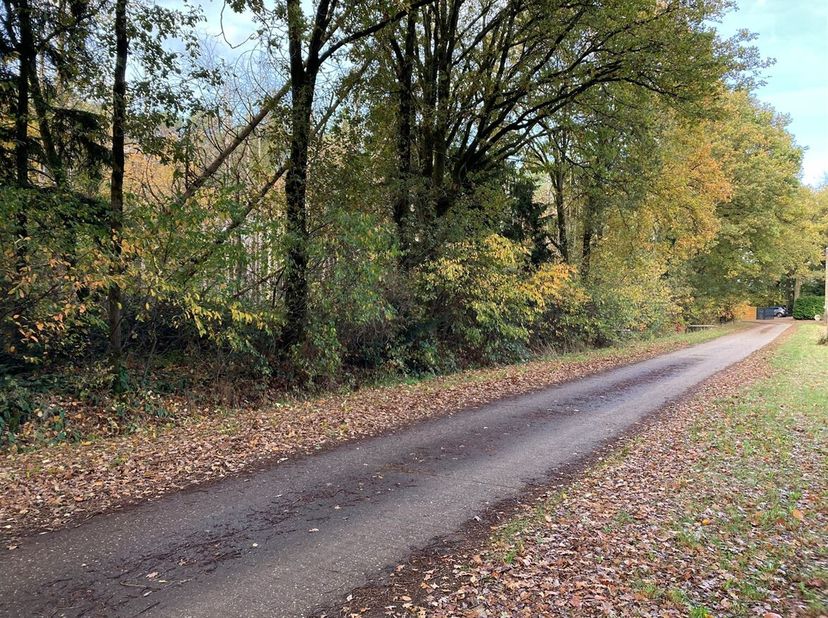Bosperceel van 6.316m²<br />
Ligging:<br />
De bosgrond situeert zich op de hoek van de Lammerheide en Osseneersels in Gierle.<br />
Deze grond is te