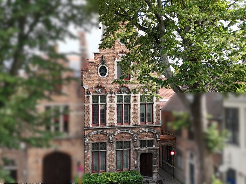 Een woning die u niet elke dag tegenkomt!<br />
Deze uitzonderlijke kunstenaarswoning is gelegen aan het Walplein, pal in het historische hart van Bru