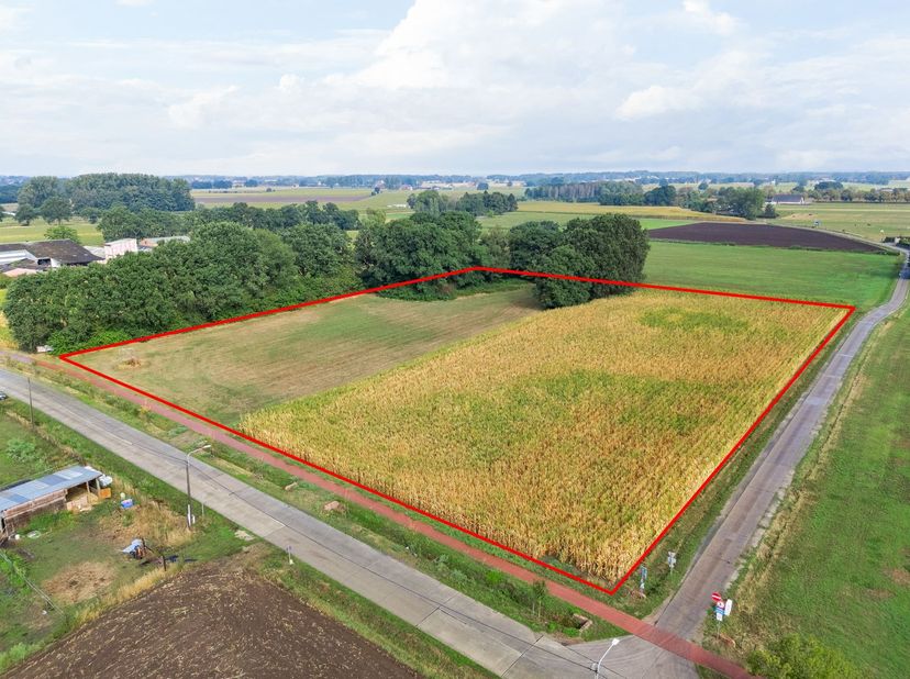 Drie landbouwgronden met een opp. van 2ha 18a 64ca<br />
<br />
Deze drie percelen, samen goed voor maar liefst 21.864 m², zijn gelegen langs de ver