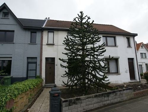                                         Woning te koop in Berchem, € 335.000
