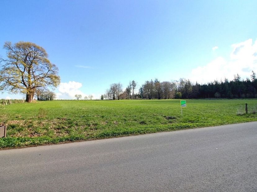TAILLES (HOUFFALIZE) Coullée, Lot 4: In dit kleine dorpje, dat op het hoogste punt van de provincie Luxemburg ligt, vindt u op 600 meter hoogte dit pr