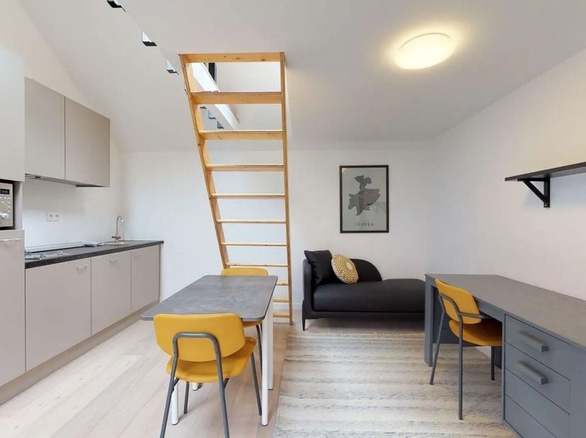 Deze bemeubelde studio met één slaapkamer is gelegen in de prachtige stad Leuven, in de residentie ASTERIA. De studio is volledig gerenoveerd in 2019