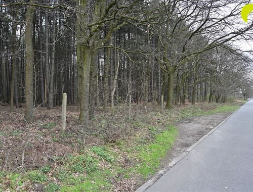                                         Bois à vendre à Wachtebeke, € 29.500
