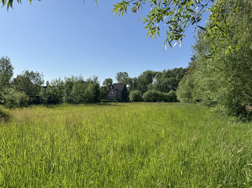 Deze knappe bouwgrond met een oppervlakte van 895m2( LOT 2) is gelegen aan de Moorselbaan tussen nummer 529 en nummer 539 en is geschikt voor het opri