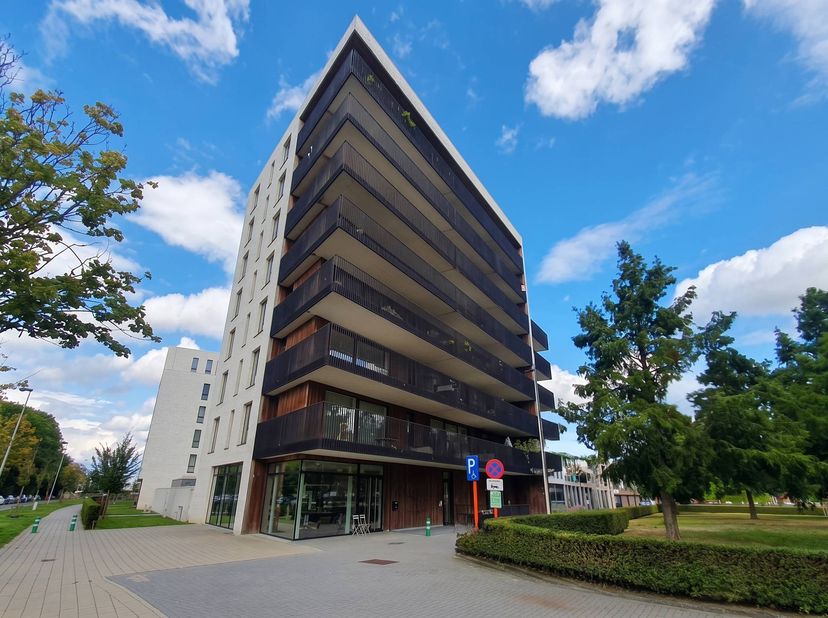 Appartement te huur in Hendrik Van Veldekesingel 29 bus 6.03,
                    3500 Hasselt