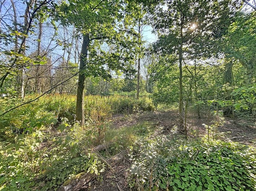 Deze grond is rustig gelegen aan de Hazendreef en biedt een oppervlakte van ca. 1.010 m², met een perceelbreedte van ca. 21 m en een diepte van ca. 48
