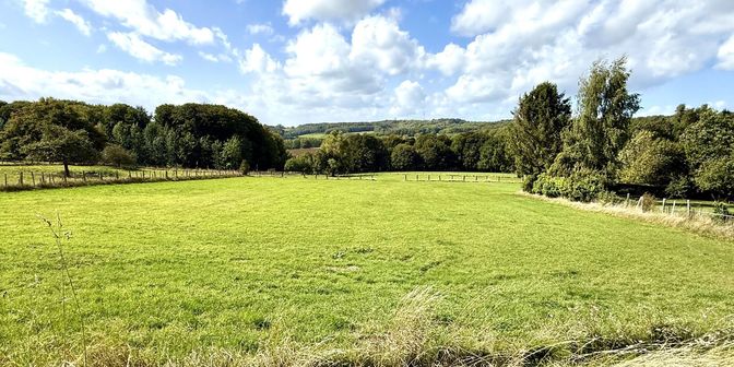 Terrain à vendre à Hurdumont 26, 7880 Flobecq