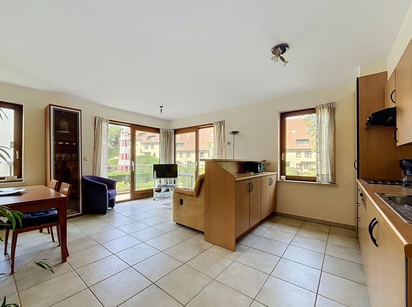 Dit appartement is rustig gelegen aan de Westhoekduinen.&amp;nbsp; De indeling is als volgt: Inkomhal, woonkamer met ingerichte keuken, badkamer met douch