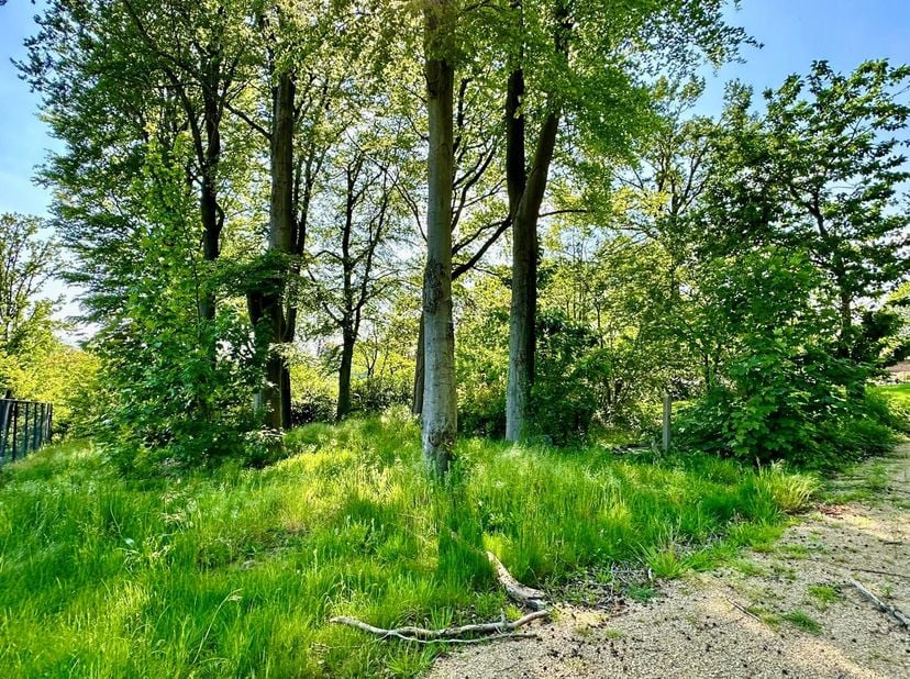 Beau TERRAIN pour villa dans le KLUISBOS! Chance UNIQUE dans le BOIS.