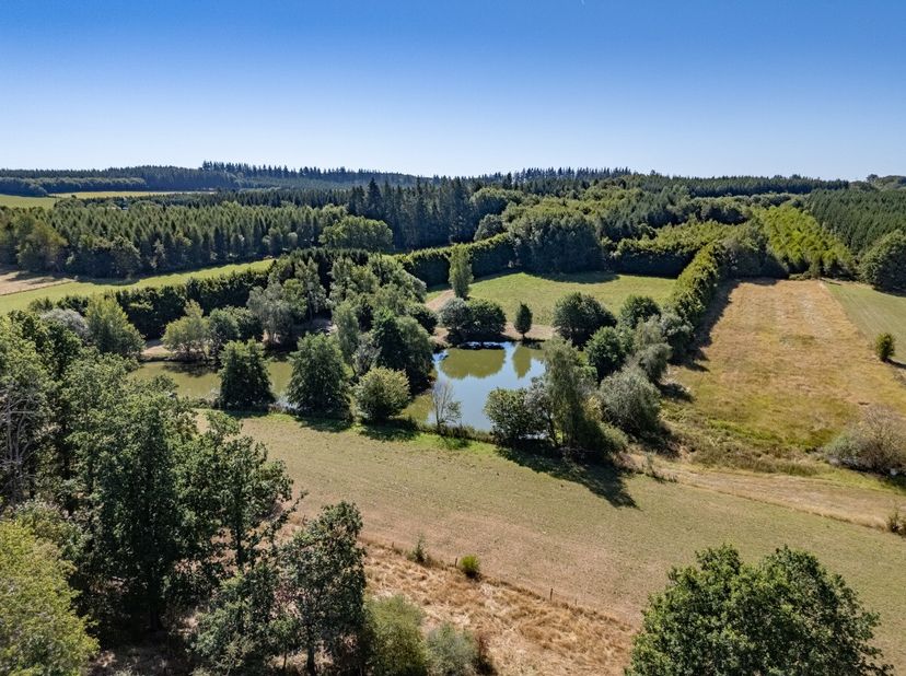 ERA B-LUX biedt u dit ruime terrein van meer dan 2 hectare aan, gelegen in een rustige, groene en volledig afgelegen omgeving, vlakbij het dorp Longch