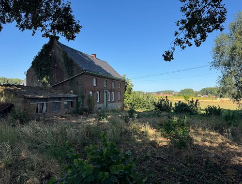                                         Maison à vendre à Opbrakel, € 299.000
