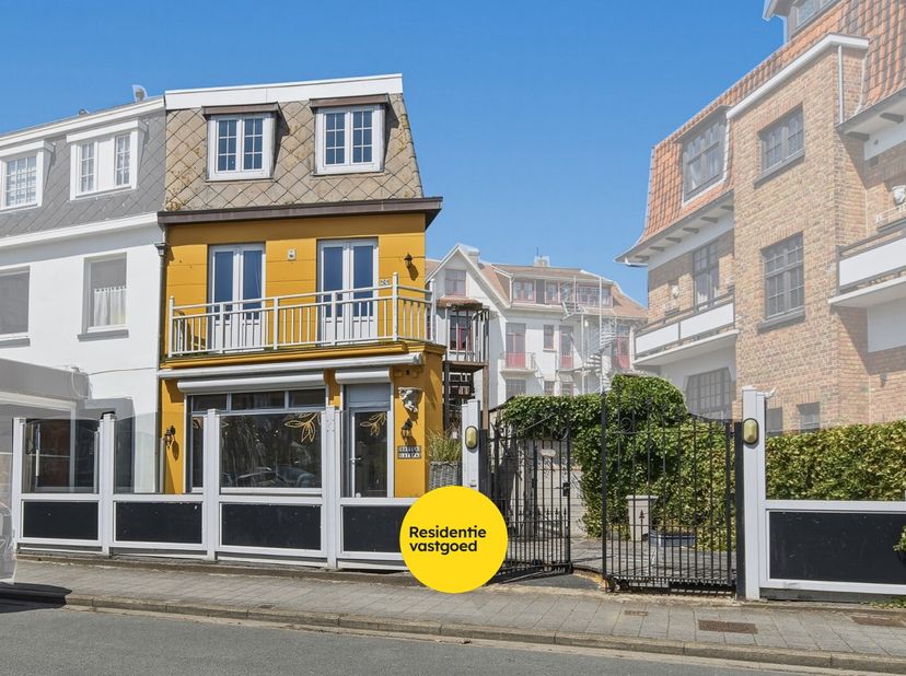 Bien professionnel à vendre
                    à 8420 Klemskerke