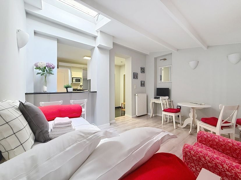 Quartier Européen - Ambiorix : Studio meublé avec cuisine entièrement équipée, toilette, salon et salle à manger avec un canapé lit, salle de bains, l