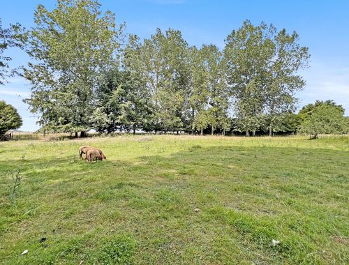                                         Bouwgrond te koop in Corroy-le-Grand, € 299.000
