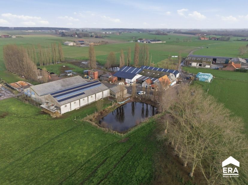 À vendre : maison 4 façades pleine de caractère, située rue Sint-Sixtus à Poperinge. Construite en 1957, cette propriété constitue une base solide pou