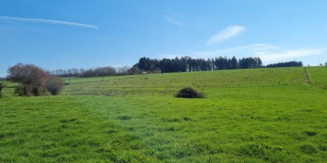Grond te koop in Mierchamps 299G, 6980 La Roche-en-Ardenne