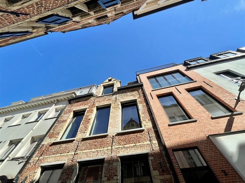 Ligging: Te midden van het historisch stadscentrum van Antwerpen kan u dit appartement terugvinden. Op enkele minuten wandelen bevindt u zich op de Gr