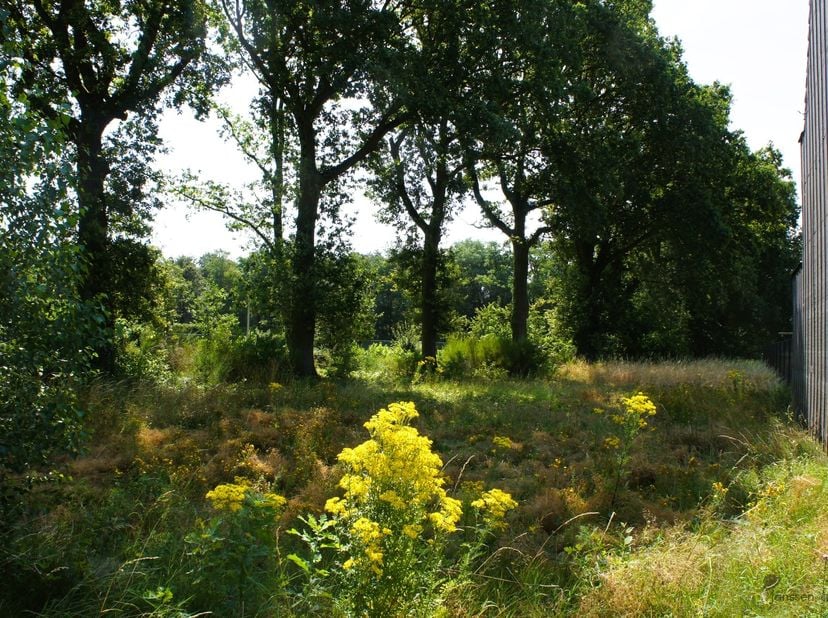 Terrain à bâtir de 683 m² destiné à un lotissement semi-ouvert à Oostmalle. <br />
<br />
Terrain à bâtir pour une habitation traditionnelle en rang