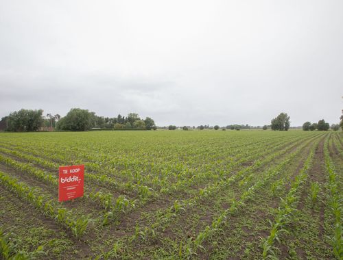                                         Landbouwgrond te koop in Eernegem, € 200.000
