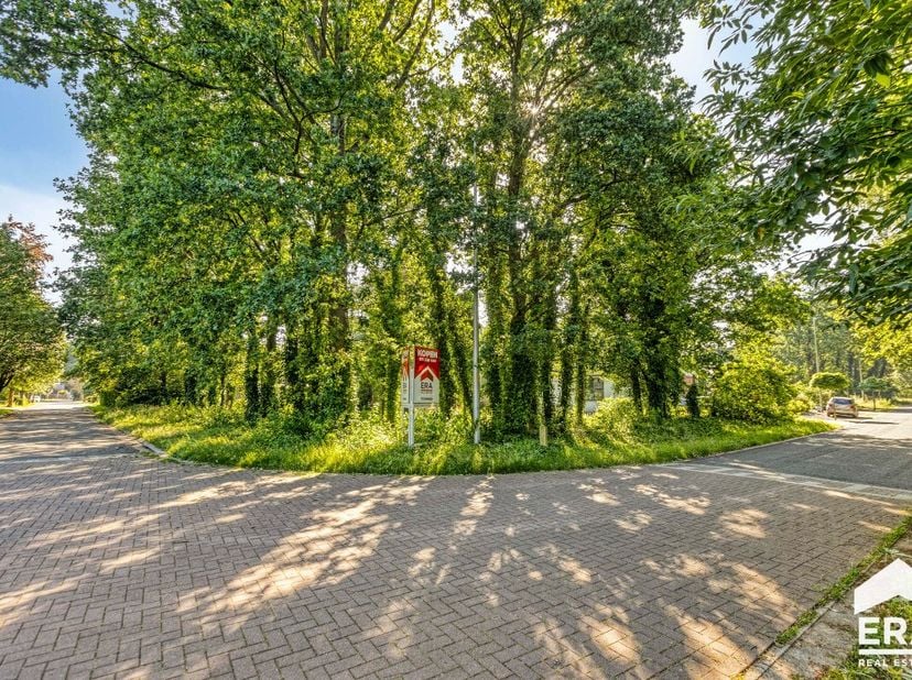 Terrain à vendre
                    à 3920 Lommel