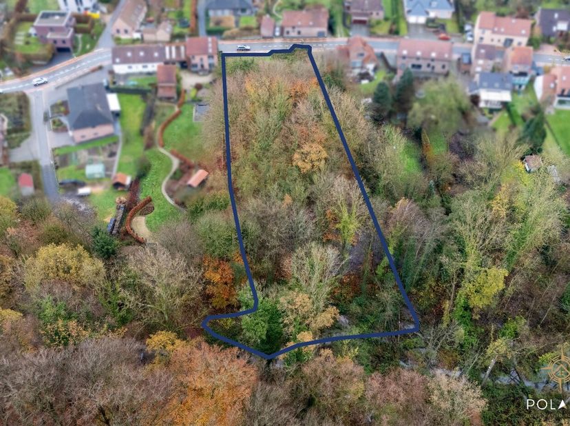 In de Maurits Noëstraat, tussen huisnummer 45 en 51, bevindt zich dit ruime perceel grond met een totale oppervlakte van 4.366 m².<br />
Het perceel g