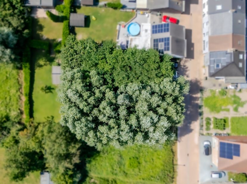 Bent u op zoek naar de ideale locatie om uw droomwoning te realiseren? Dan is deze bouwgrond in het gezellige Welle precies wat u zoekt.<br />
<br />