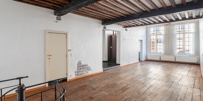 Bien professionnel à louer à Keizerstraat 38, 2000 Antwerpen