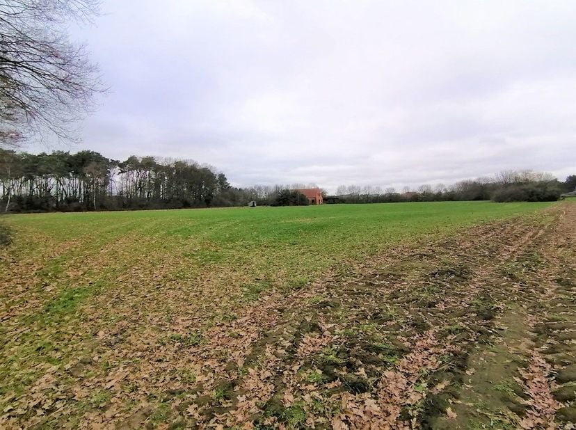 Bent u een dromer een durver of een ondernemer? Dan is dit uw buitenkans! Deze schitterende recreatiegrond ligt in het kloppend hart van de Limburgse