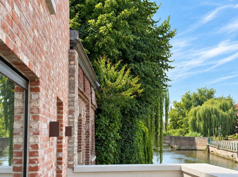 Maison à louer à Prinsenhofplein 7 boîte A,
                    9000 Gent