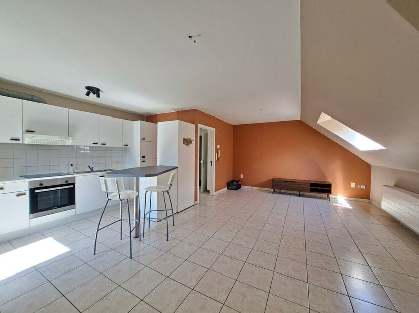 Ruim eigentijds appartement met 1 slaapkamer, ingerichte keuken en badkamer, living, zolder en autostandplaats.<br />
De vaste kosten van euro 20,00 z