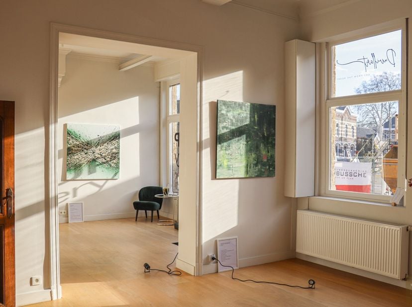 Aan het park van Oudenaarde, in de Kattestraat, bevindt zich dit statige herenhuis met een uitzonderlijke combinatie van ruimte, karakter en mogelijkh