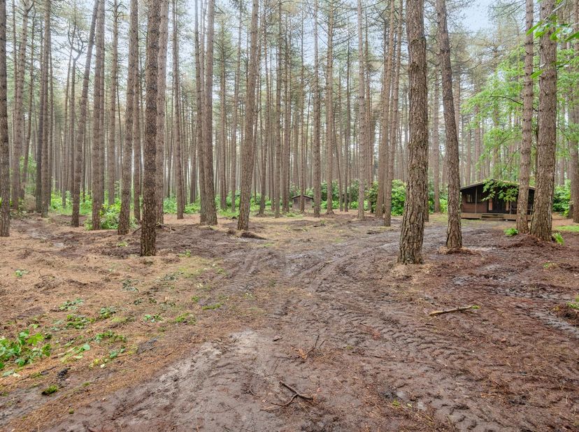 Bosgrond met chalet op riant perceel van 2607m²<br />
<br />
<br />
Ligging:<br />
Deze bosgrond is zeer rustig gelegen in een groene omgeving net