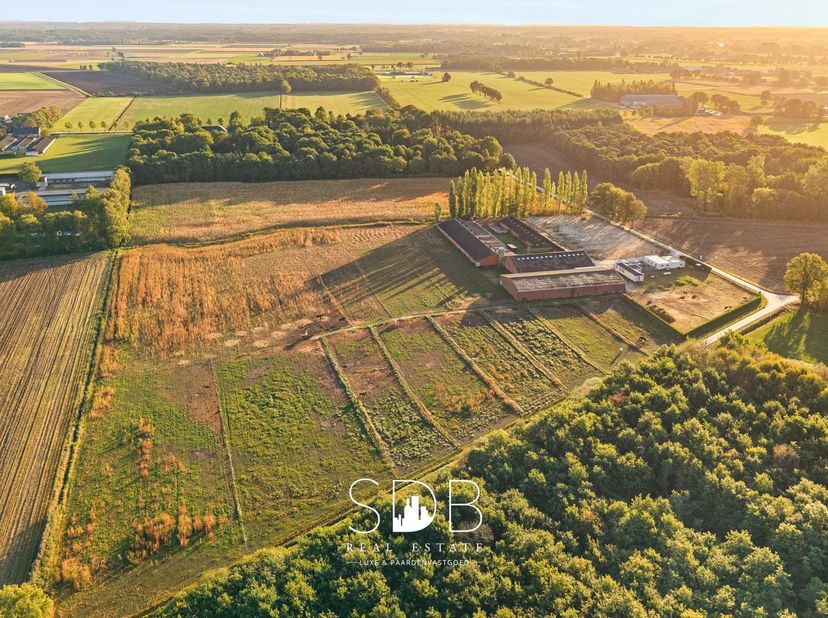 In het hart van de Antwerpse Kempen ligt Weelde, een charmante deelgemeente van Ravels waar we deze boerderij met paardenfaciliteiten en graslanden op