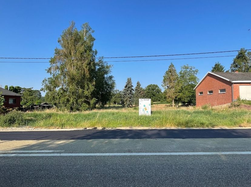 Grond te koop in Sparrenweg zn bus lot 1,
                    3980 Tessenderlo