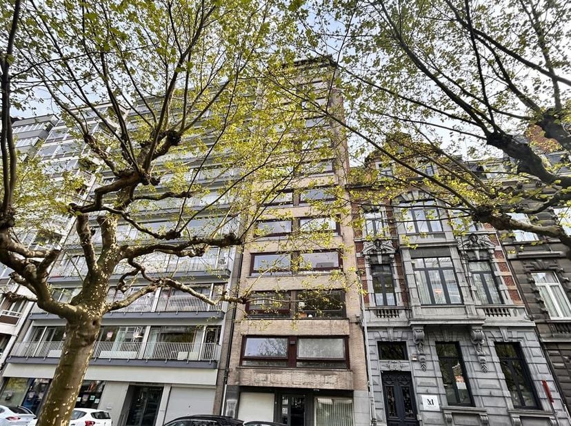 AVIS AUX ETUDIANTS : Idéalement situé sur le très apprécié boulevard Piercot, ce grand studio meublé de 54m² propose : un hall d'entrée avec rangement