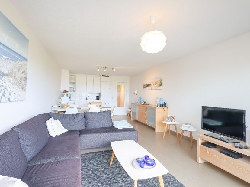 Dit verzorgde appartement in de residentie Plaza I, bevindt zich vlak aan de duinen en de zee en werd als volgt ingedeeld:<br />
Woonkamer met open in