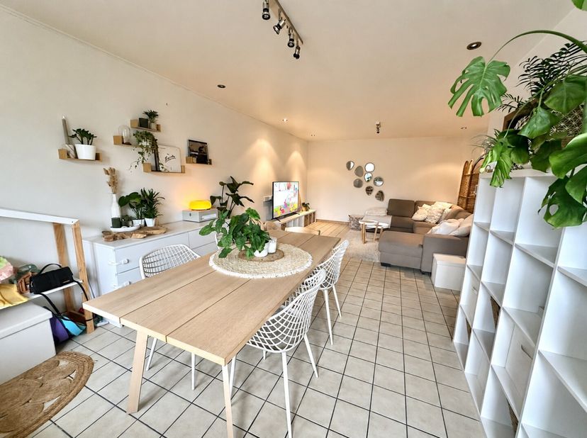 Dit gezellig gelijkvloerse appartement bevindt zich op een centrale ligging aan het Lutselusplein in Diepenbeek. Alle belangrijke voorzieningen, zoals