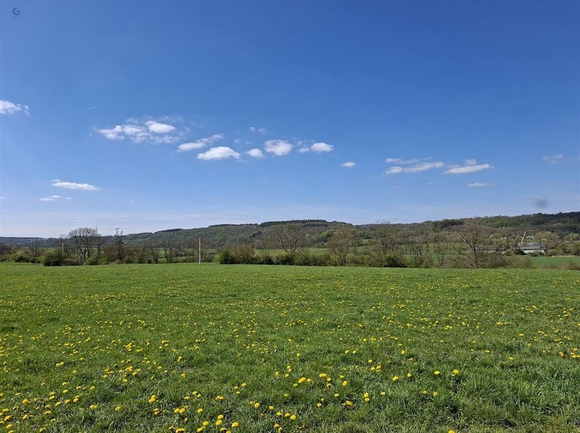 À vendre – Terrain à fort potentiel à Petithan (Durbuy)<br />
<br />
Situé rue du Vieux Curé à Petithan, à seulement 4 km du centre de Durbuy, ce va