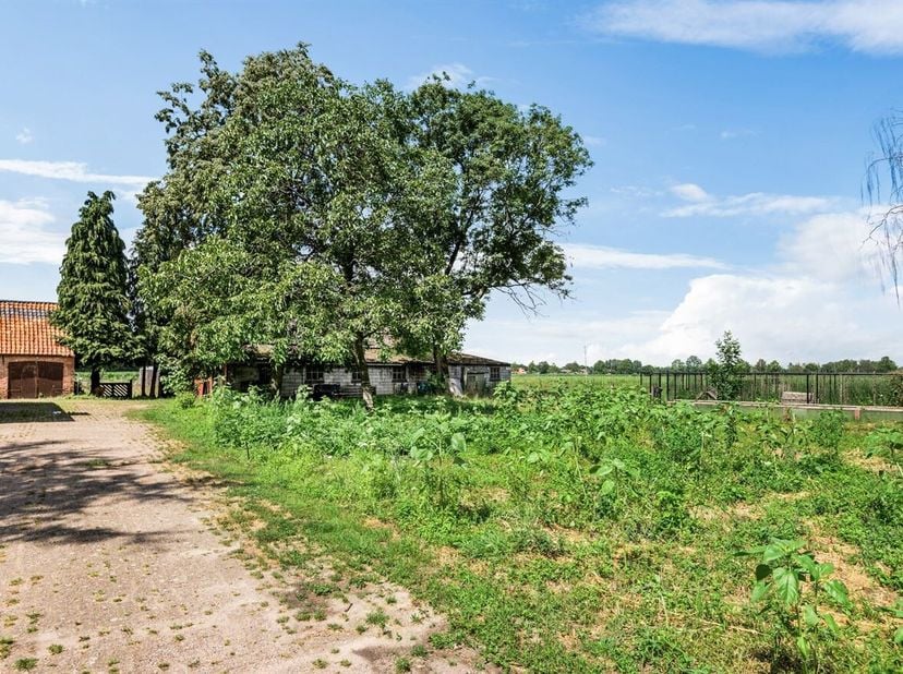 Ferme située au calme, avec grange, étable et prairies, d'une superficie totale d'environ 13 333 m², idéale pour les amoureux des animaux<br />
On ent