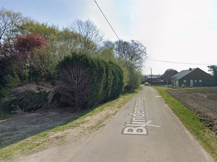 Bouwgrond voor vrijstaande woning<br />
Bouwvoorschriften:<br />
Bouwdiepte ( te meten vanaf de voorbouwlijn):<br />
-op het gelijkvloers maximaal 17m